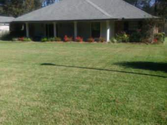Lawn Care Service Hammond , LA Lawn Care Service in Hammond , LA, 70403