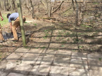Lawn Care Service Sharpsville , IN Lawn Care Service in Sharpsville , IN, 46068