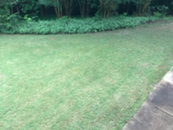 Lawn Care Service Sugar Hill, GA Lawn Care Service in Sugar Hill, GA, 30518