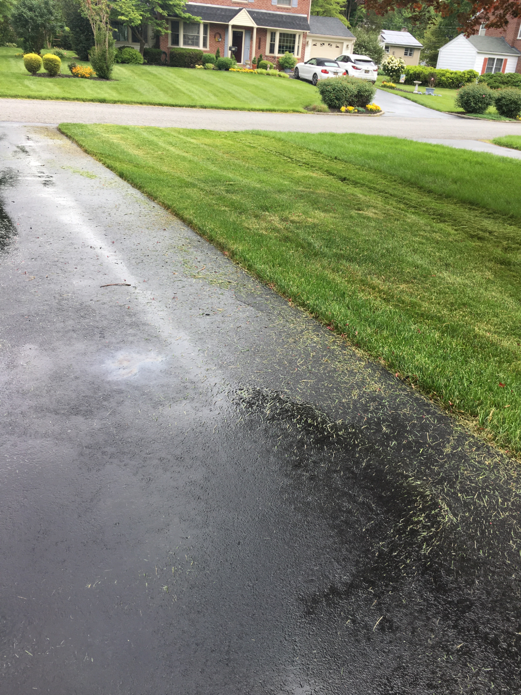 Lawn Care Service Wilmington, DE Lawn Care Service in Wilmington, DE, 19805