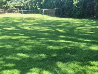 Lawn Care Service Lyndhurst, OH Lawn Care Service in Lyndhurst, OH, 44124