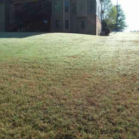 Hugo Lopez Ldscp Lawn Care Services In Atlanta