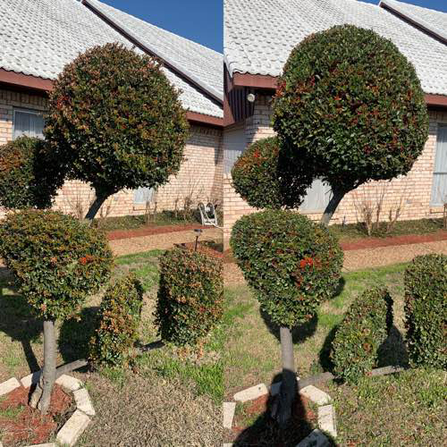 Garcia Lawn & Garden Lawn Care Services in Fort Worth