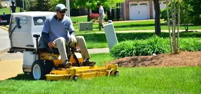 Tips for finding affordable lawn care and cheap grass cutting services near you