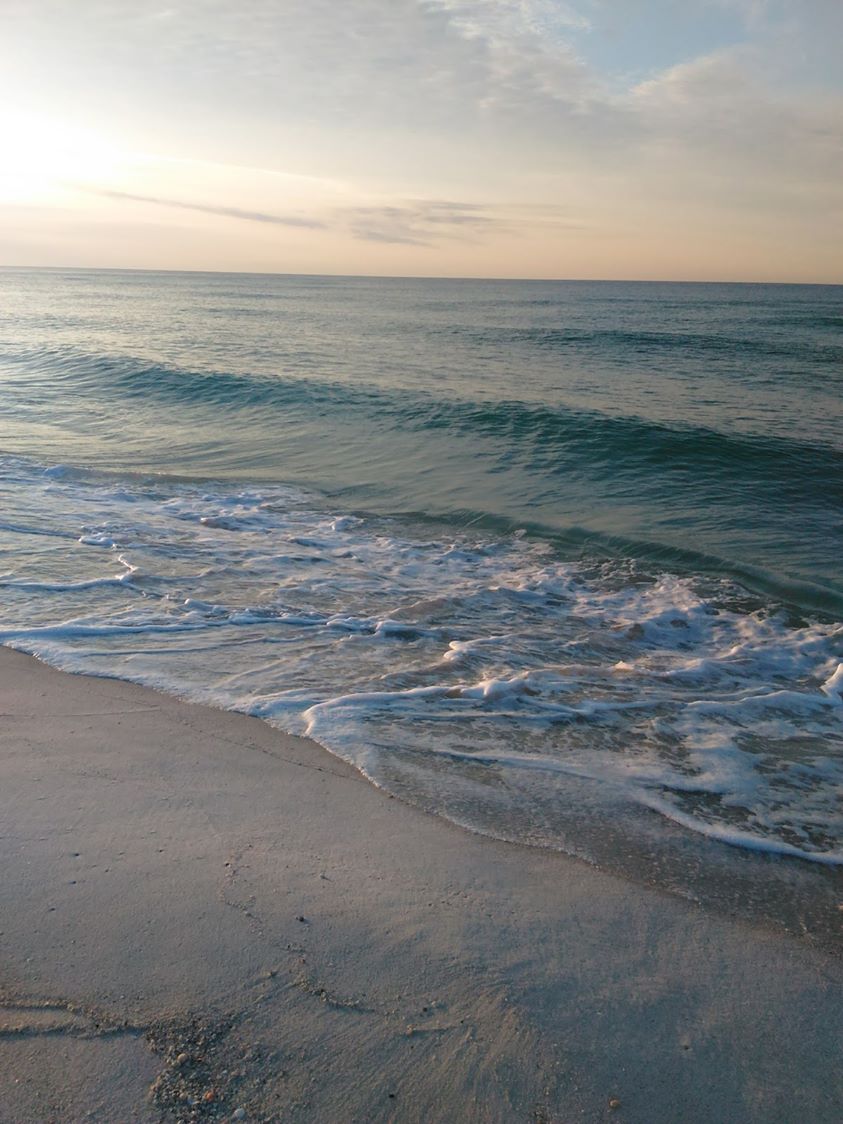 Top Pensacola, FL Lawn Care Services & Lawn Mowing from 39