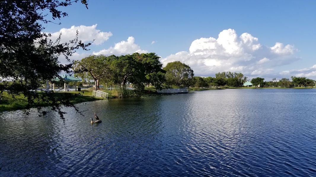 The 10 Best Lawn Care Services In Tamarac FL From 34