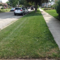 The 10 Best Lawn Care Services In Tinley Park Il From 39