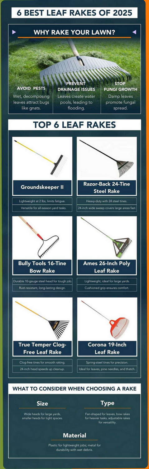 6 Best Leaf Rakes of 2024 - infographic