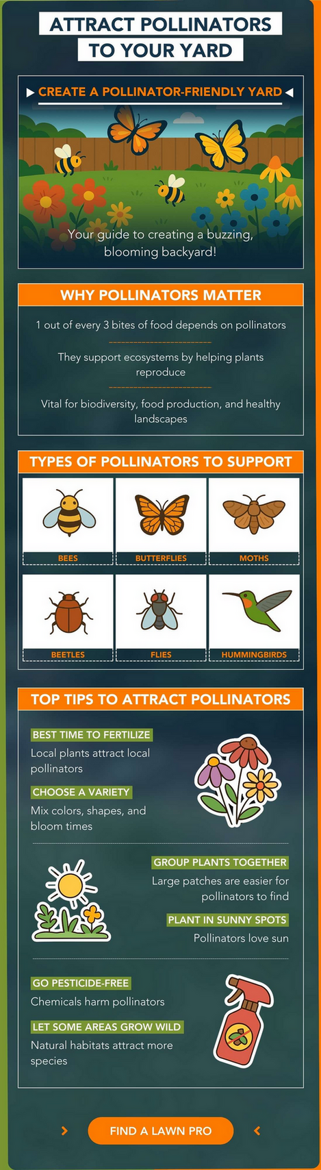 Infographic - Attract Pollinators To Your Yard