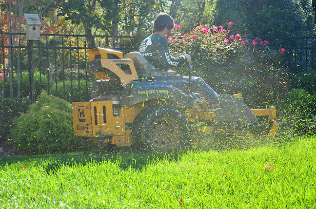 View of 5 Easy to Follow Steps for Eco-Friendly Lawn Care
