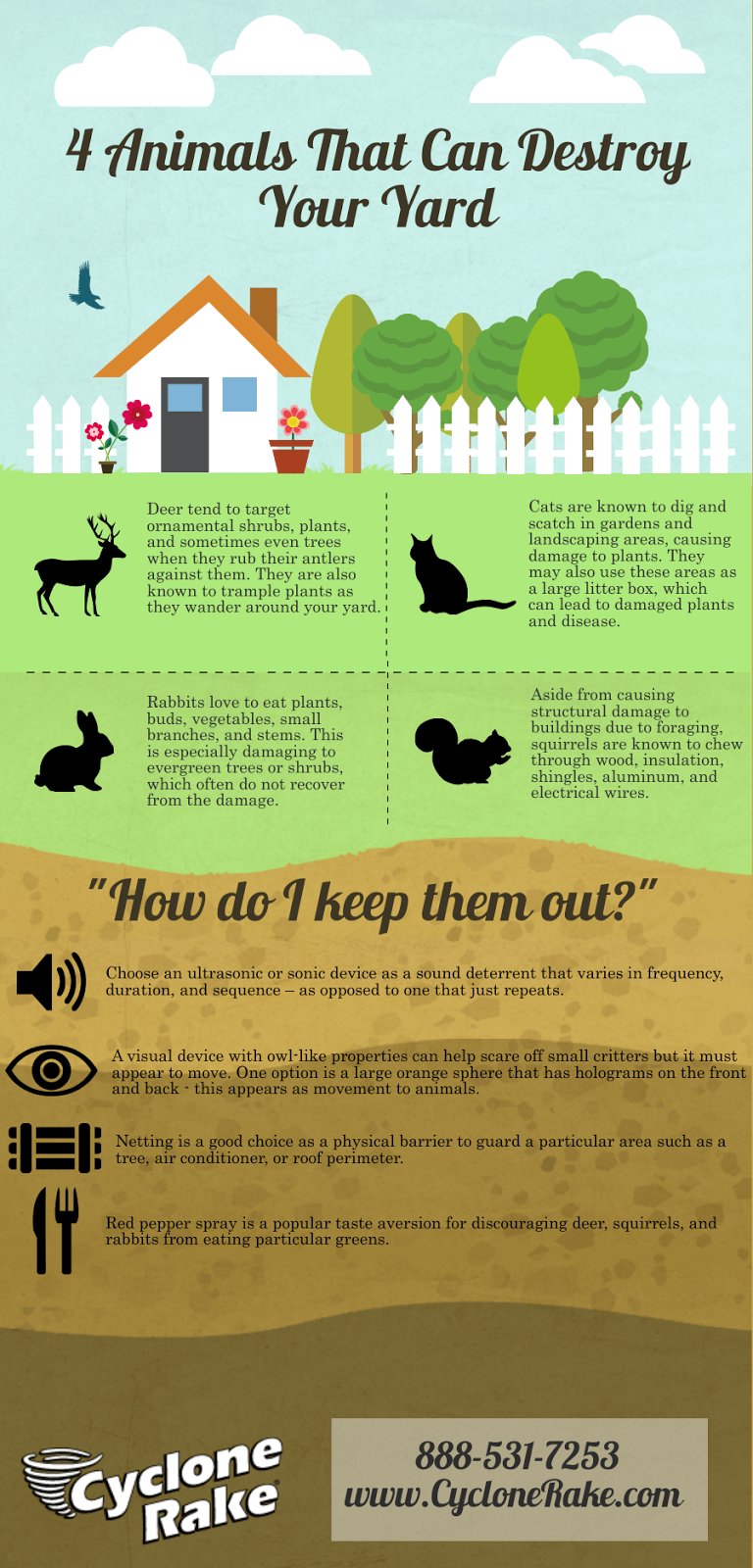 4 Animals That Can Destroy Your Lawn, and How to Prevent Them