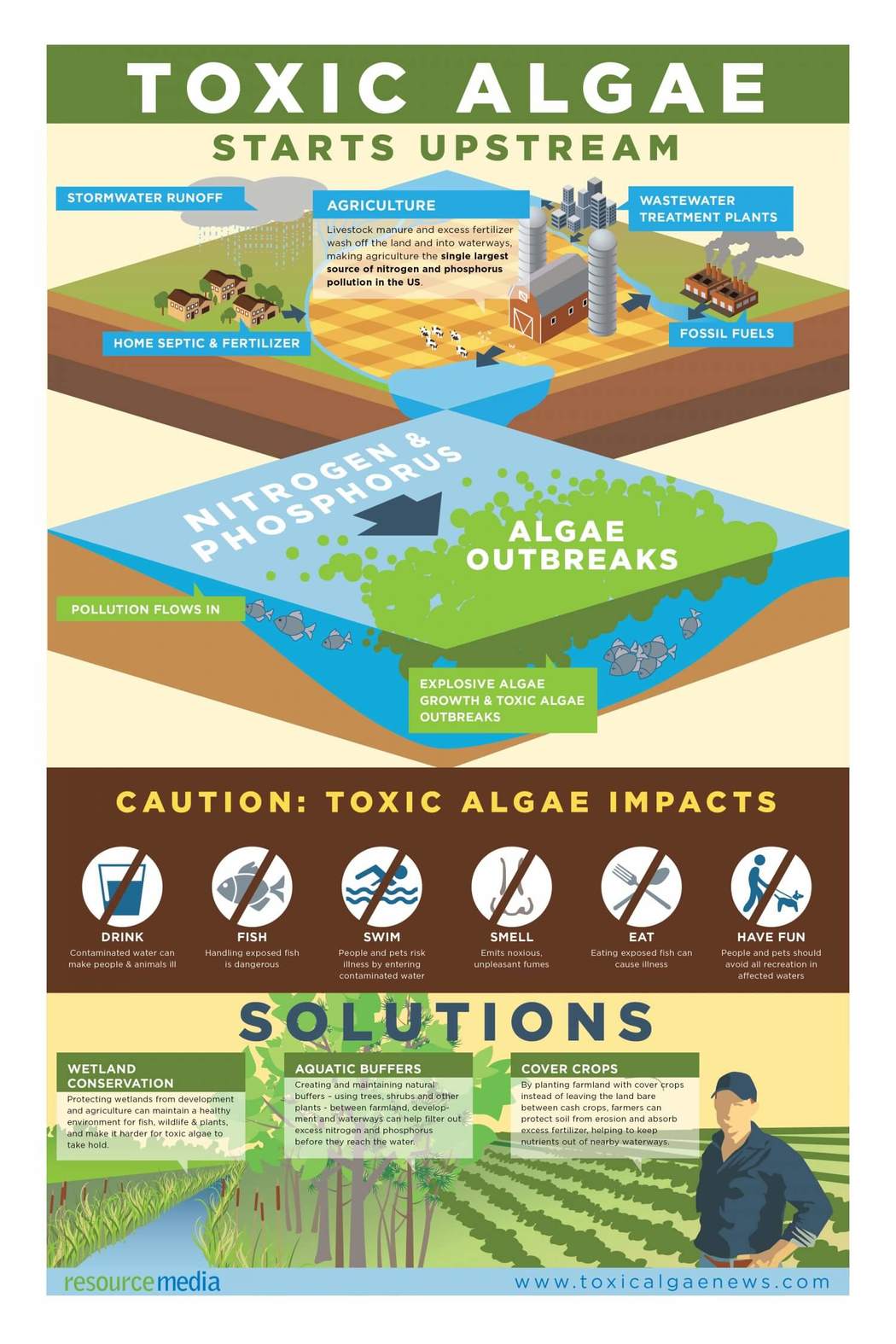 How Nitrogen and Phosphorus Fertilizers Cause Deadly Algae Outbreaks