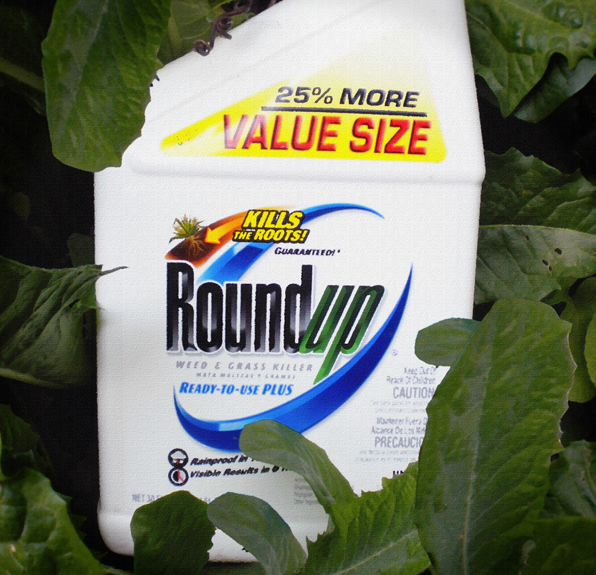 Is Roundup too dangerous for personal lawn care use?