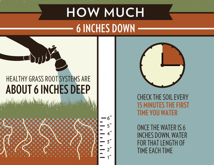 What are the proper steps for fertilizing my lawn?