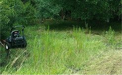 Lawn Mowing Service in , , Lawn Service by Best Company Updated, work completed in  