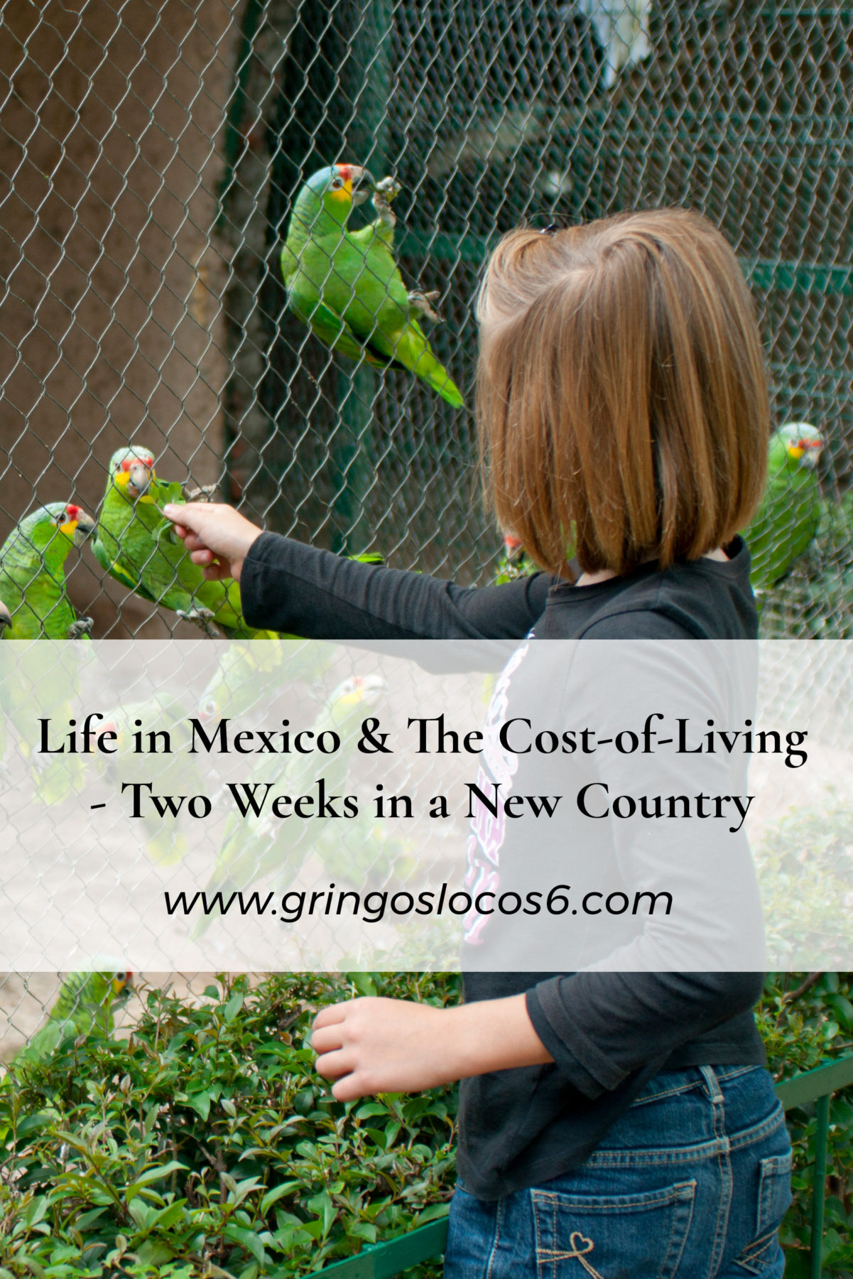 Just a little glimpse into everyday life in Mexico and the cost-of-living. Monday is laundry day, car repair is cheap, and we love Morelia's zoo.