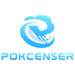Pokcenser-Flow Level Pressure Measuring Instrument
