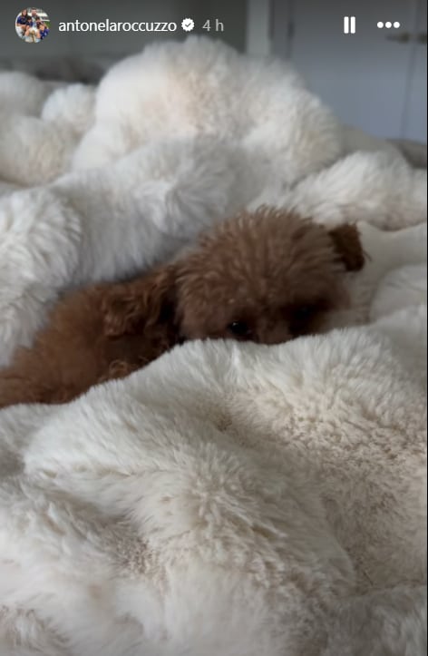 ¿Quién comparte la cama de Antonela Roccuzzo cuando Messi no está?