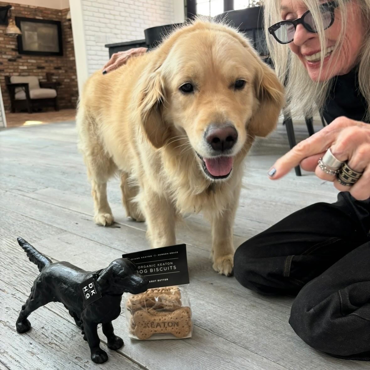 Entrada sin título 1760216077