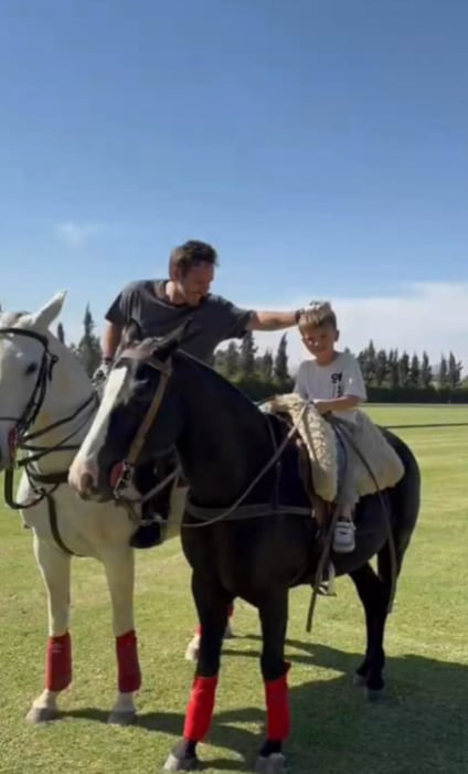 Entrada sin título 1763977527