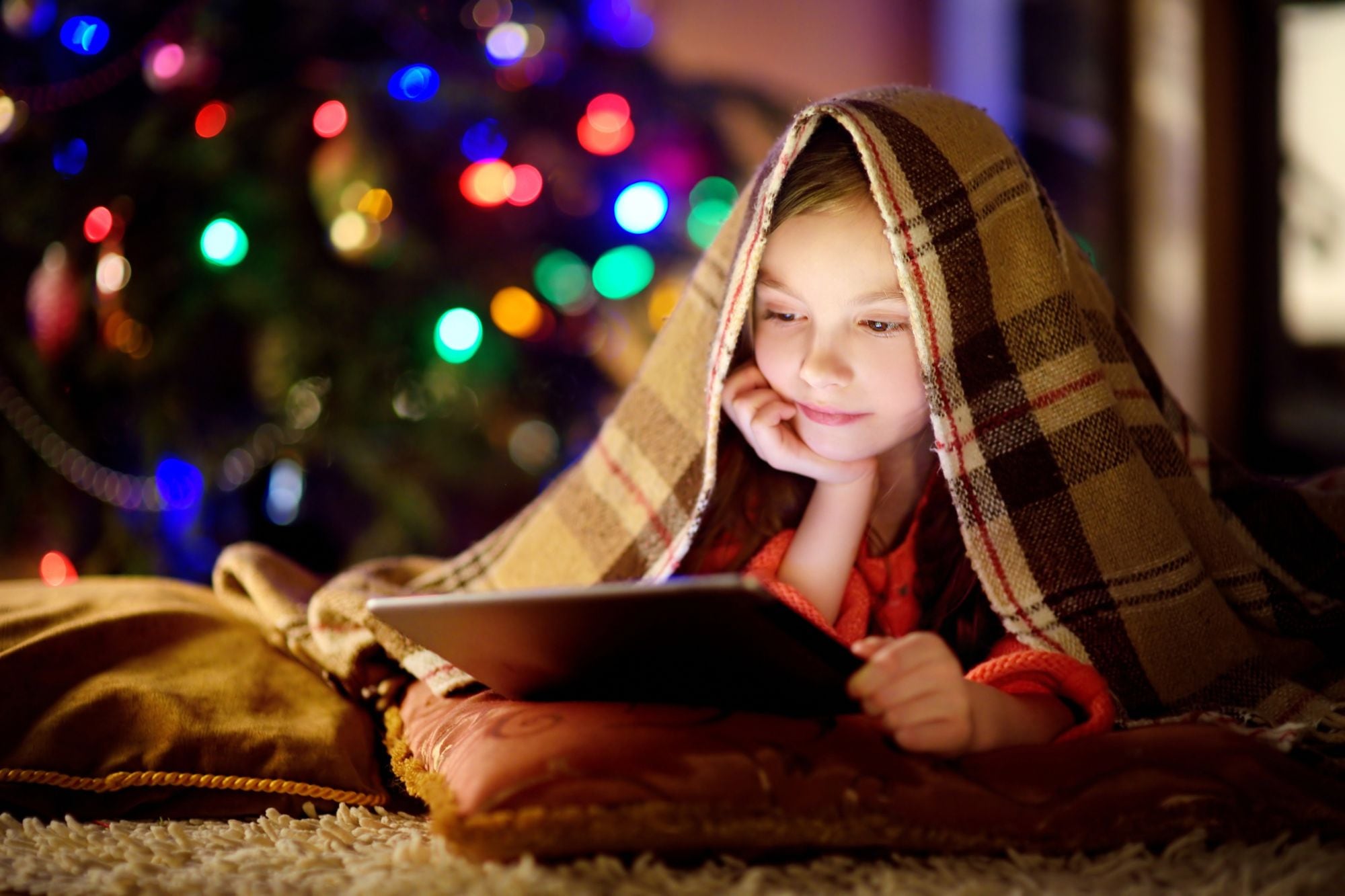 Entrada sin título 1764625860