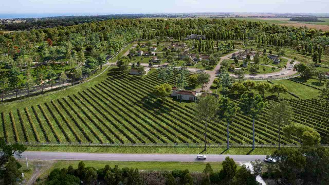 Lotes en pueblochapa: el nuevo desarrollo de vino y mar