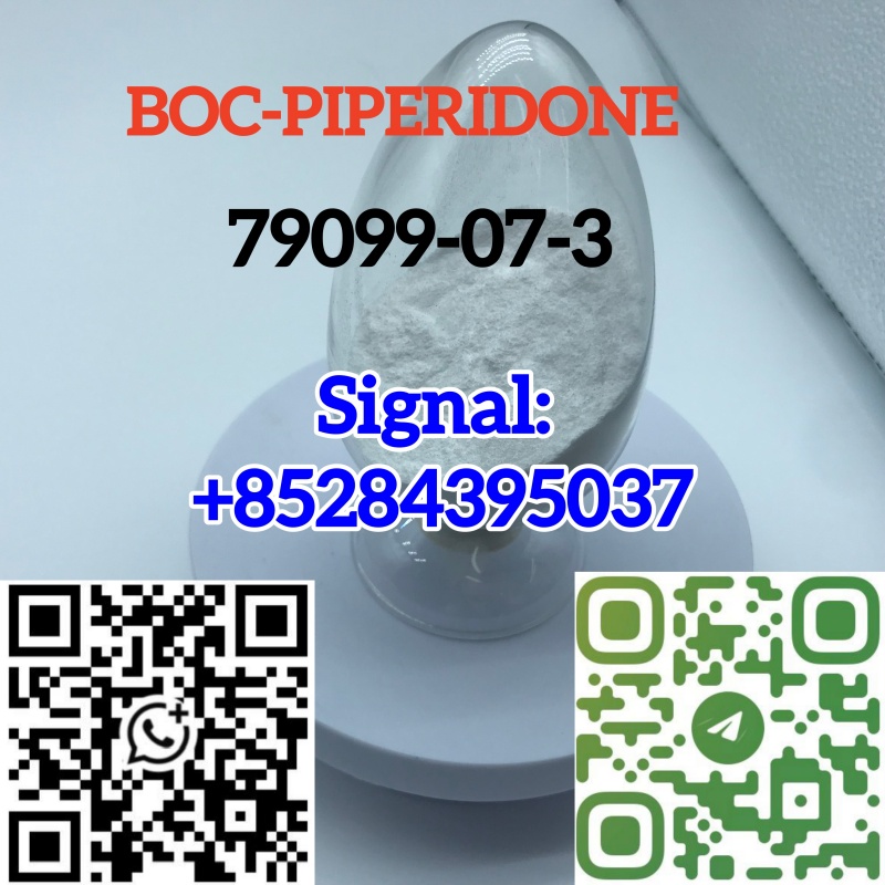 High Purity Powder 99% CAS 79099-07-3 1-Boc-4-Piperidone