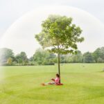 El verdadero bienestar: reconectar contigo mismo