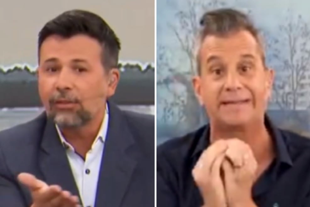 Tensión en vivo entre periodista y meteorólogo por carpinchos
