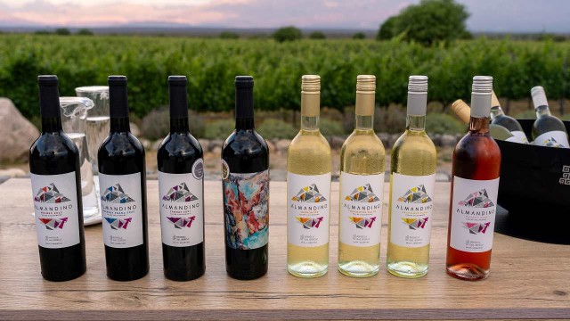 Bodega Dal Borgo: una experiencia única en el Valle Calchaquí