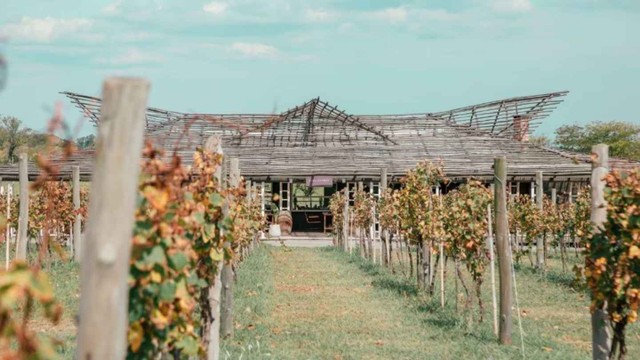 Las mejores escapadas vinícolas en Buenos Aires para disfrutar