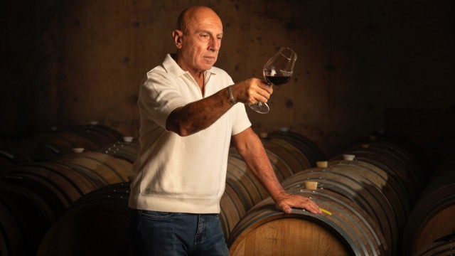 Alberto Budetta: del éxito empresarial a los vinos premium en Mendoza