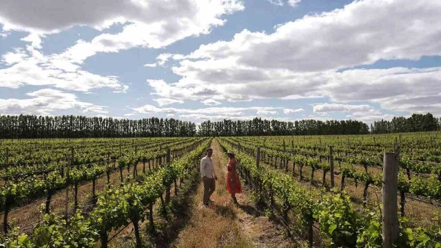 Descubre la Ruta del Vino en La Pampa: paisajes y experiencias