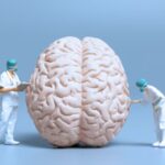 El impacto del estrés crónico en el cerebro, según una experta