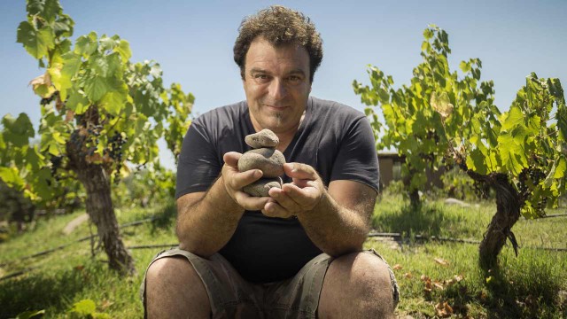 Récords en el vino argentino: dos etiquetas alcanzan la excelencia