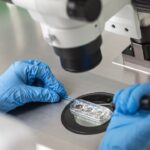 Empresa china utilizará pruebas de cromosomas con IA para IVF