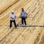 El impacto del El Niño en la agricultura y economía de China