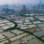 Hong Kong obtiene US$3.5 mil millones para proyectos verdes