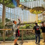 Centros comerciales en China apuestan por la naturaleza