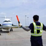 Incidente de ave afecta a vuelo C909 de Air China en Beijing
