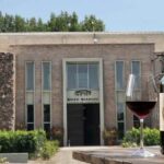 Bodega histórica de Mendoza enfrenta crisis y despidos