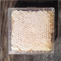 Buzzn Bee Wildflower Honeycomb