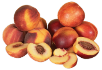Small Yellow Flesh Nectarine