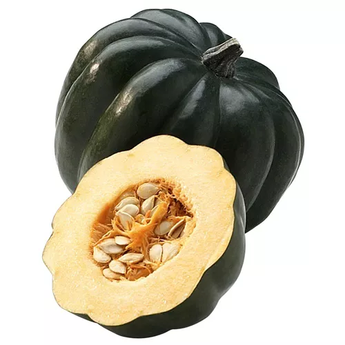Acorn Squash