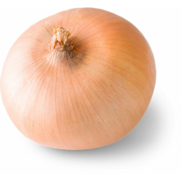 Andersen Organics Sweet Organic Onion