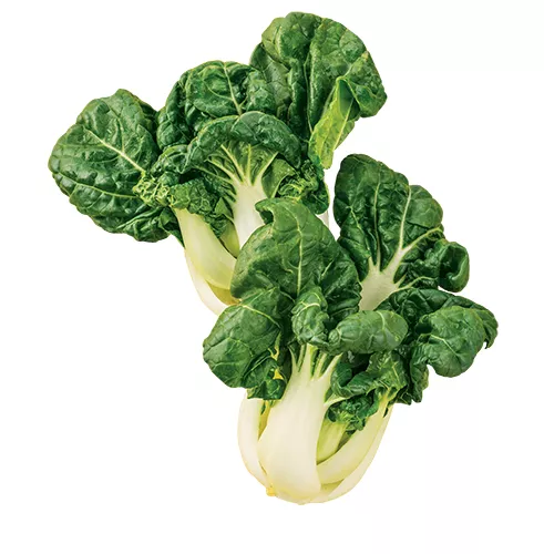 Baby Bok Choy