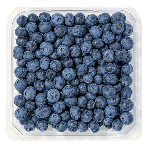 Blueberries, FAMILY PACK