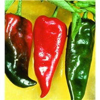 Bonnie Plants Anaheim Pepper