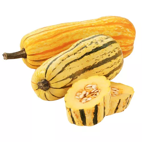 Delicata Squash