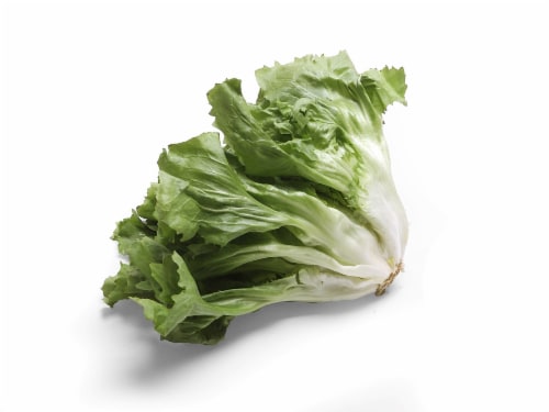 Escarole Lettuce